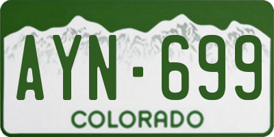 CO license plate AYN699