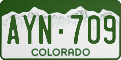 CO license plate AYN709