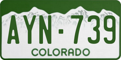 CO license plate AYN739