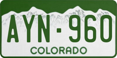 CO license plate AYN960