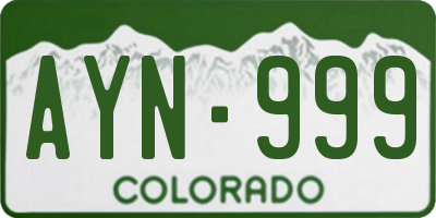 CO license plate AYN999