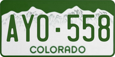CO license plate AYO558
