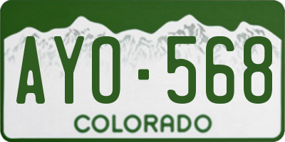 CO license plate AYO568