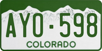 CO license plate AYO598