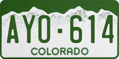 CO license plate AYO614
