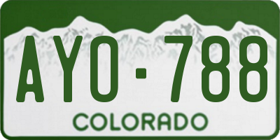 CO license plate AYO788
