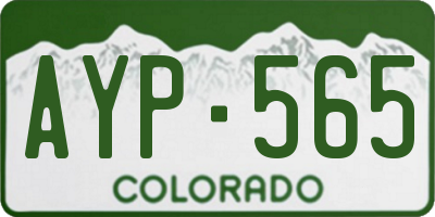 CO license plate AYP565