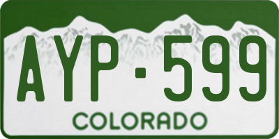 CO license plate AYP599