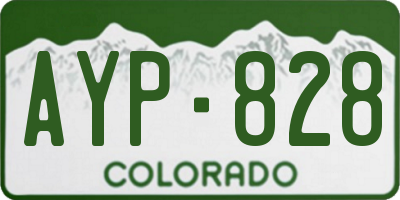 CO license plate AYP828