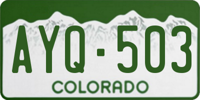 CO license plate AYQ503