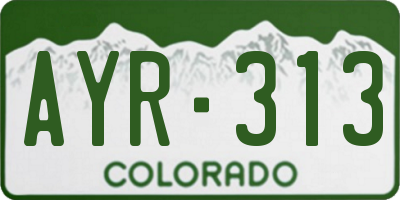 CO license plate AYR313