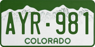 CO license plate AYR981