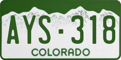 CO license plate AYS318