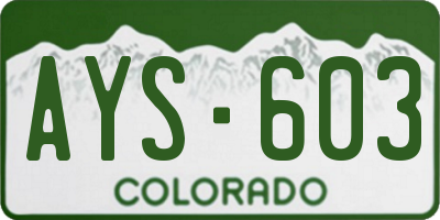 CO license plate AYS603
