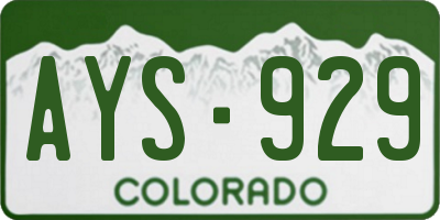 CO license plate AYS929