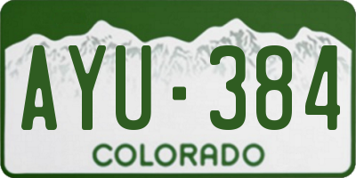 CO license plate AYU384