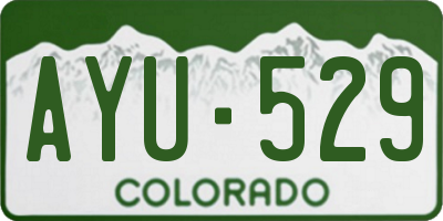 CO license plate AYU529