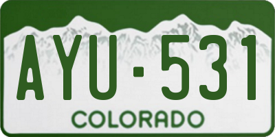 CO license plate AYU531
