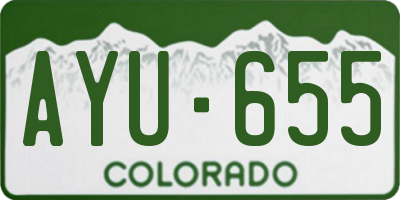 CO license plate AYU655