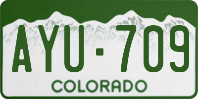 CO license plate AYU709