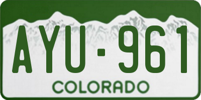 CO license plate AYU961