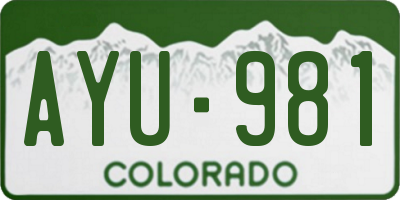 CO license plate AYU981