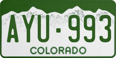 CO license plate AYU993