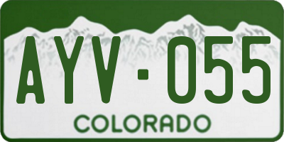 CO license plate AYV055