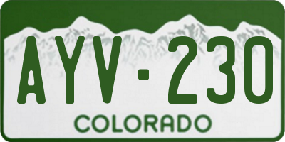 CO license plate AYV230