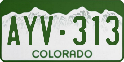 CO license plate AYV313