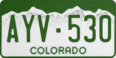 CO license plate AYV530