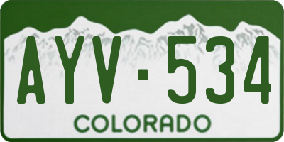 CO license plate AYV534
