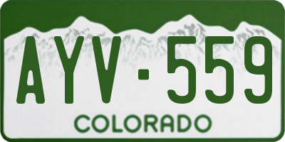 CO license plate AYV559