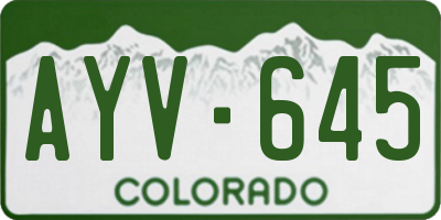 CO license plate AYV645