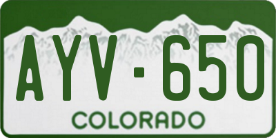 CO license plate AYV650