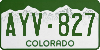 CO license plate AYV827