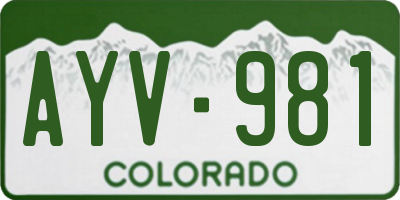 CO license plate AYV981
