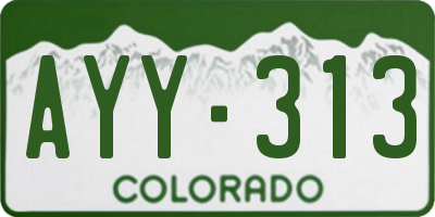 CO license plate AYY313