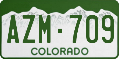 CO license plate AZM709