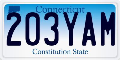 CT license plate 203YAM