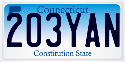 CT license plate 203YAN