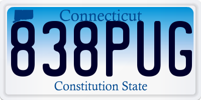 CT license plate 838PUG