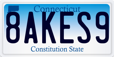 CT license plate 8AKES9