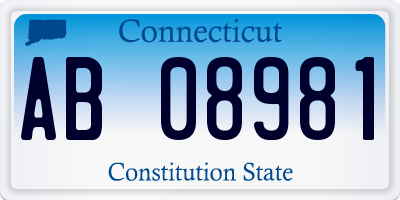 CT license plate AB08981