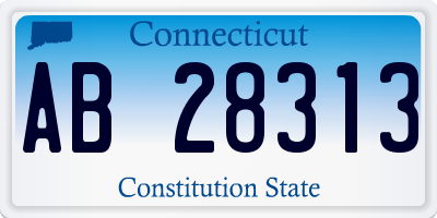 CT license plate AB28313