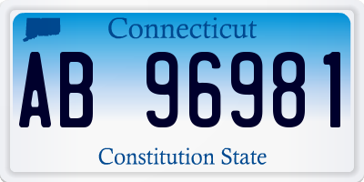 CT license plate AB96981