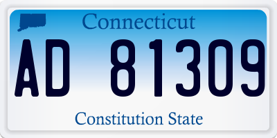 CT license plate AD81309
