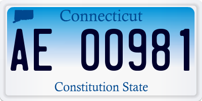 CT license plate AE00981