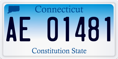 CT license plate AE01481