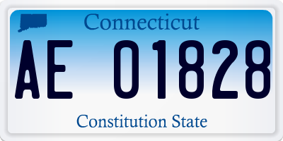 CT license plate AE01828